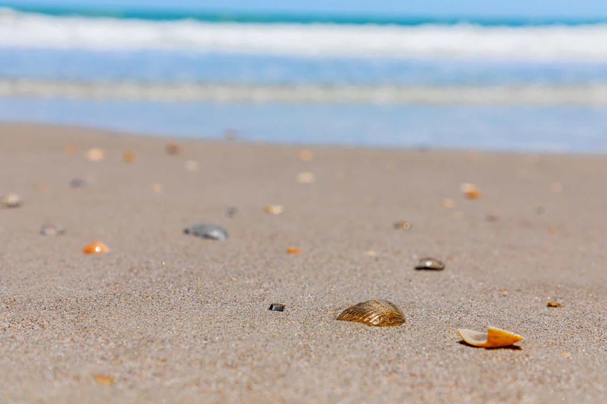Beachside Hotel And Suites Cocoa Beach Bagian luar foto